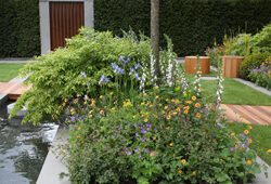 Jardin Bassin Mioulane NewsJardinTV 9N7B1332