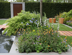 Jardin Bassin Mioulane NewsJardinTV 9N7B1332
