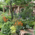 Jardin Maison Vivaces Mioulane NewsJardinTV 9N7B1256