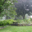 Pluie Jardin Banc Pelouse Flora