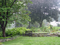 Pluie Jardin Banc Pelouse Flora