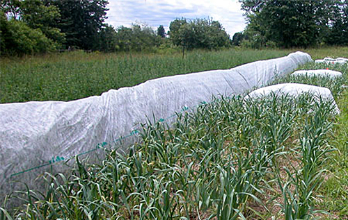 Poireau Protection Filet Flora