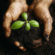 Ame des plantes Flora
