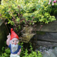 Nain de Jardin Mioulane NewsJardinTV NPM 84947037