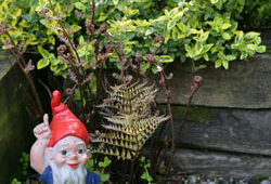 Nain de Jardin Mioulane NewsJardinTV NPM 84947037