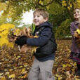Enfant ramasse feuilles mortes DR