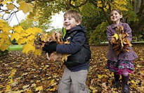 Enfant ramasse feuilles mortes DR