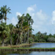 Fairchild Tropical Garden Floride Mioulane NewsJardinTV DSC1514