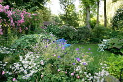 Jardin Anne Marie Lardy Mioulane NewsJardinTV NPM 850403028