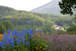 Jardin Vosges Mioulane NewsJardinTV NPM 85021106