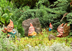 Nains de jardin Flora