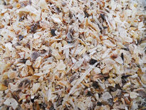 Engrais Corne broyee