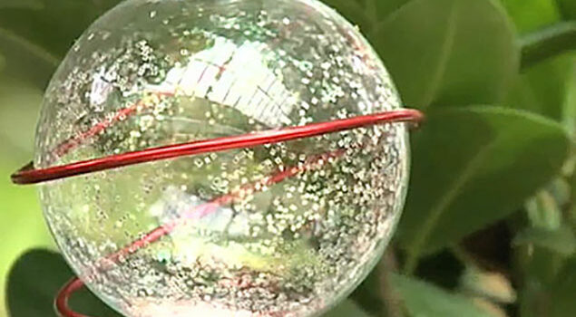 Deco Noel Fiole NewsJardinTV