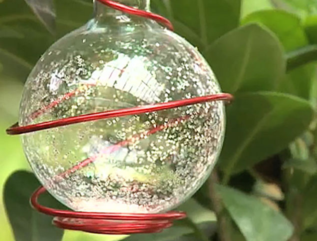 Deco Noel Fiole NewsJardinTV