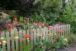 Jardin champetre Mioulane NewsJardinTV NPM 84969043