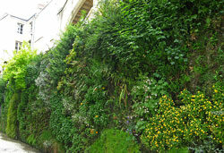 Mur Vegetal Patrick Blanc Bordeaux