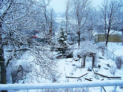 Neige Jardin Hiver Flora