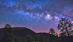 Nuit nature Flora