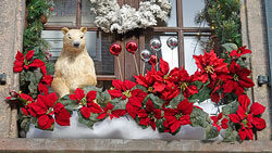 Noel Decoration Fenetre Mioulane NewsJardinTV DSC2274