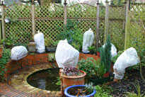 Protection hivernale Mioulane NewsJardinTV NPM 719516445