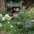 Jardin Vicaces Coin repos Mioulane NewsJardinTV NPM 2507528838