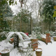 Hiver Jardin Neige Mioulane NewsJardinTV NPM 2607524333