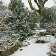Jardin Neige Hiver Mioulane NewsJardinTV NPM 2607524326