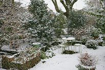 Jardin Neige Hiver Mioulane NewsJardinTV NPM 2607524326