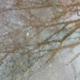Pluie reflets Branches Mioulane NewsJardinTV IMG 4333