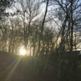 Soleil Hiver Mioulane NewsJardinTV Jardimiou IMG 4344
