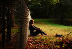 Solitude Jardin Wallpapers