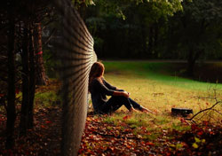 Solitude Jardin Wallpapers