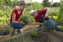 Jardinage PotagerNouvGenerationGnis Lanceau Truchet
