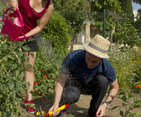 PotagerNouvGenerationGnis Lanceau Truchet