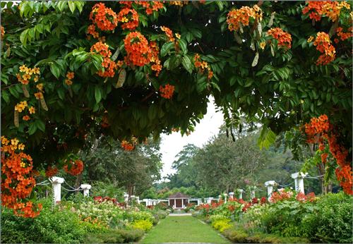 Penang Botanical Garden