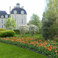 Cheverny Jardin Tulipes NewsJardinTV NPM 2607528074