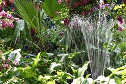 Eau Jet Mioulane NewsJardinTV Jardimiou NPM 84810051