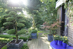 Jardin Terrasse Mioulane NewsJardinTV Jardimiou XY7S7640
