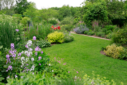 Jardin VanBeek Mioulane NewsJardinTV Jardimiou NPM 914375622