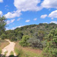 Sentier Foret Flora