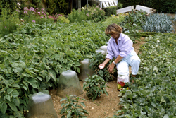 Engrais Potager Mioulane NewsJardinTV Jardimiou NPM GIP0085923