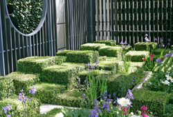 Jardin contemporain Claustra Mioulane NewsJardinTV NPM 2607523435