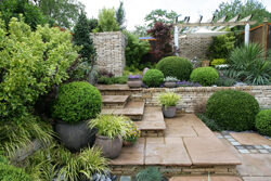 Jardin dallave Urbain Mioulane NewsJardinTV Jardimiou NPM 060522104