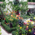 Jardin urbain Mioulane NewsJardinTV Jardimiou NPM 850407684