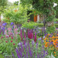 Massif Fleurs Mioulane NewsJardinTV Jardimiou 9N7B1115