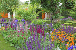 Massif Fleurs Mioulane NewsJardinTV Jardimiou 9N7B1115
