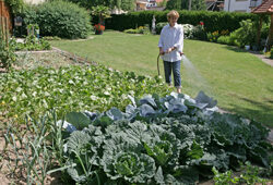 Arrosage Potger Mioulane NewsJardinTV Jardimiou NPM 850393001