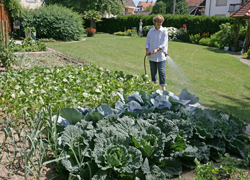 Arrosage Potger Mioulane NewsJardinTV Jardimiou NPM 850393001