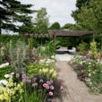 Jardin Massif Fleurs Mioulane NewsJardinTV Jardimiou NPM 850407068