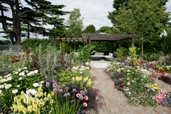Jardin Massif Fleurs Mioulane NewsJardinTV Jardimiou NPM 850407068